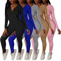 Casual Women Active Wear Solid Color Long Sleeve Zipper Jacket Pleated Skinny Pants Sports 2 Piece Set FSL-115