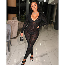 See Through Mesh Printed Long Sleeve Bodycon Jumpsuits DY-6676