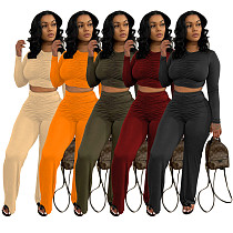 Casual Pleated Crop Top Wide Leg Pants Set TR-1149