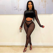 Mesh See Through Flocking Crop Top And Pants Set CHENGX-169