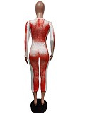 Aesthetic Print Streetwear Skinny Long Sleeve Dress MEM-88405