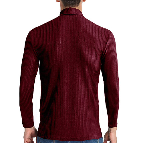 Men's Solid Casual Long Sleeve Turtleneck Sweater WYMY-21717