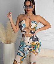 Hollow Out Halter Lace Up Crop Top Skinny Shorts Set YIW-9008
