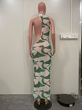 Sexy Mesh See Through Print Asymmetrical Dresses ORY-5243
