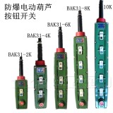 Electric block button Explosion-proof handle switch Explosion control button BAK21 BAK31 BAK41 