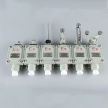 Explosion-proof travel switch limit switch bzx51-5d 5L 5Z 5N 5S 5T Explosion-proof proximity switch with double rocker arms 