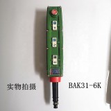 Electric block button Explosion-proof handle switch Explosion control button BAK21 BAK31 BAK41 
