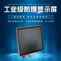 Supplied by the manufacturer 15 inches Industrial explosion proof display For chemical and petroleum drilling Explosion proof di
