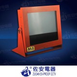ZAJS400 explosion proof monitor