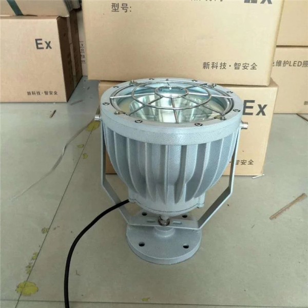 LED Explosion proof projection lamp 80w Outdoor fire water flameproof type Chemical gas station 100w Explosion proof headlamp fr