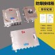 Explosion proof distribution box and control cabinet Stainless steel lighting power switch Button instrument electric control bo