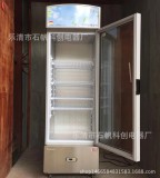 Explosion proof freezer (display cabinet) BLL-265