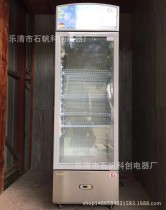 Explosion proof freezer (display cabinet) BLL-265