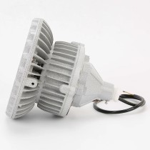 New explosion-proof lamp LED Chemical plant warehouse tunnel gas station 50W Floodlight Flameproof IIC type