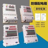 Explosion proof distribution box and control cabinet Stainless steel lighting power switch Button instrument electric control bo