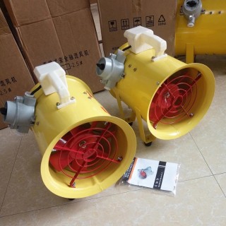 Explosion-proof portable axial fan 220V Explosion-proof exhaust blower Hand-held Explosion-proof portable fan