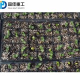 Pepper, tomato, flower, grass and soybean hole plate planter Seedling plate seedling cultivation equipment for vegetable and flo