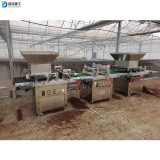 Full automatic hole tray seedling planter Greenhouse planting pepper eggplant seedling machine Vegetable flower tobacco spreader