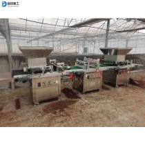 Full automatic hole tray seedling planter Greenhouse planting pepper eggplant seedling machine Vegetable flower tobacco spreader