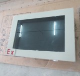17  explosion-proof display yhj-171 explosion-proof display LED screen