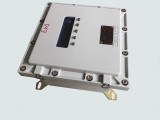 Customized explosion-proof instrument box control box button box bxk explosion-proof temperature controller weighing instrument