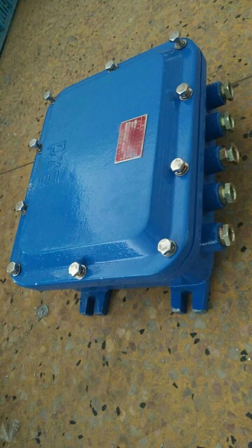 DIP,A20 Dust explosion proof junction box Explosion proof junction box BJX-20/36 Explosion proof terminal box Junction box