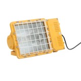 IP68 Explosion proof Gas station LED canopy lights 100w