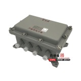 Explosion proof distribution cabinet 300*200 Operation control box 500*400 Power lighting instrument Explosion proof empty box o
