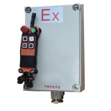 Explosion-proof remote controller F21-4S Driving Crown block