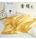 Pure Mulberry Silk Pillowcase for Hair and Skin Cooling Silk Pillow Case with Tie Closure Allergen Proof Soft Breathable Smooth