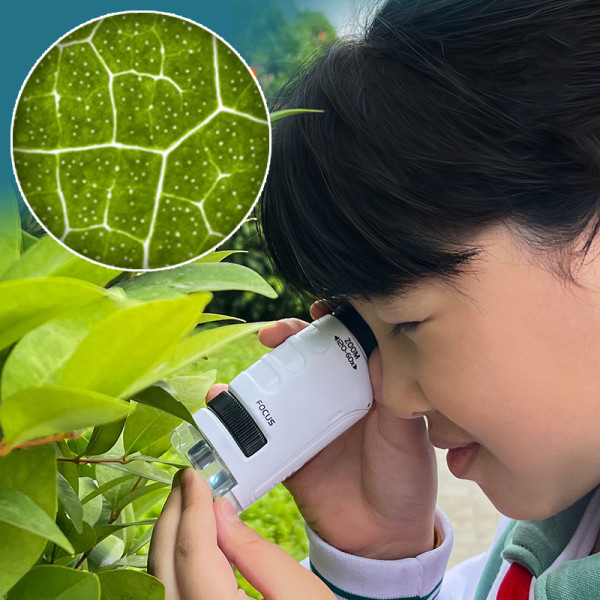 Portable Microscope with Led Lights Pocket Science Experiment Equipment Educational Toy 60X-120X Childern Gift Kids Toys