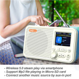 C10 DAB/DAB+ FM Digital Radio Rechargeable LED Speaker Portable Handsfree MP3 Music Player Broadcasting Radio Supports TF Card