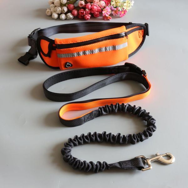 Pet supplies wholesale waist pack running two-piece pet leash Amazon explosions running leash dog leash