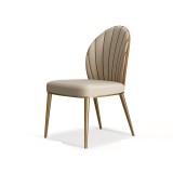 Dining Chair Household Dining Table Chairs Modern Simple Nordic Light Luxury Restaurant Iron Dining Backrest Chair Leisure Chair