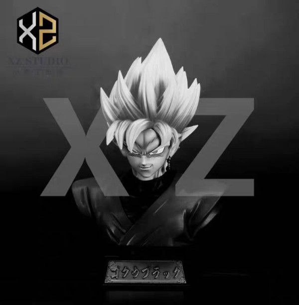 xz studio goku