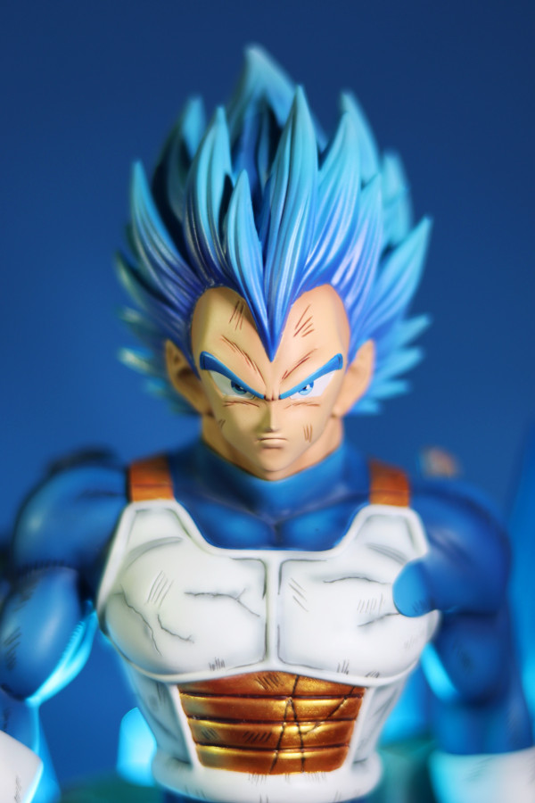 temple studio blue evolution vegeta