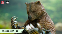 【Preorder】JacksMake Animal Protection Act Series Bear's paw Resin Statue
