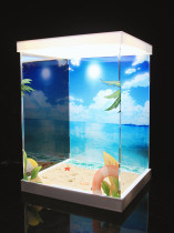 【In Stock】Summer Beach Theme Swimsuit ver Acrylic Display Box 