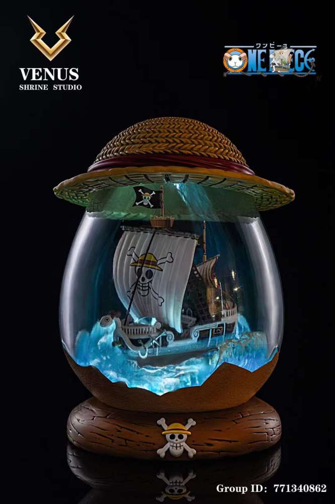One piece going merry - Der Gewinner unserer Tester