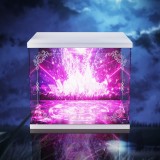 【In Stock】SSF Re:Life in a different world from zero Frozen Emilia Crystal Dress Acrylic Display Box
