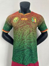 23/24 Cameroon Special Jersey Player Version 1:1 Quality
