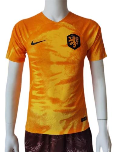 Netherland 2022 World Cup Home Jersey(Player)