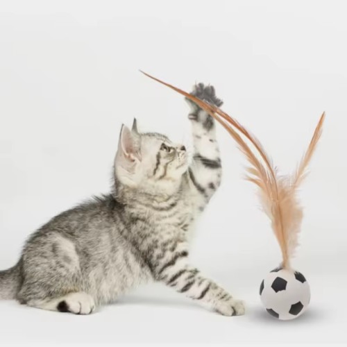 Elastic Sports Ball Feather Stretch Interactive cats Toys Pets Accessories Pet playing jump Toy for cat