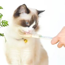 Cat Strip Feeder Portable Pet Liquid Snack Spoon Dog cat strip squeezer Cat Snacks feeding spoon