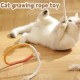 New cat tear-grinding rope toy catnip gall fruit for cats and dogs universal wear resistant bite cat toy