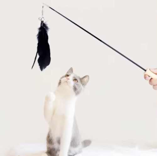 Wholesale Pet Rod Retractable Solid Wood Telescopic Rod Feathers Interactive Cat toys Teasing stick toys Cat Supplies