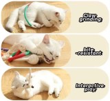 New cat tear-grinding rope toy catnip gall fruit for cats and dogs universal wear resistant bite cat toy