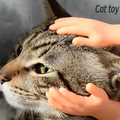 mini finger cat toy cat interactive toy wholesale Mini Funny Cartoon Finger Hands cat Massage Toys pet supply