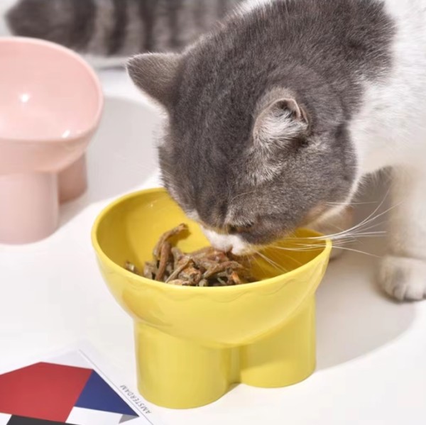 Manufacturer wholesale green pink yellow Pet dog cat bowl stable indoor cats Food and water bowls