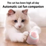 Automatic 360 Self-Rotating Rolling Ball with USB Rechargeable pet Exercise Chase Toy Ball Cat Smart Rolling Balls Toys